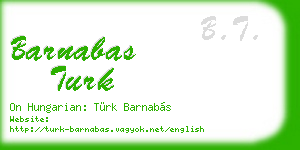 barnabas turk business card