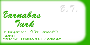 barnabas turk business card